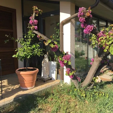 L'ornello- * Vasanello